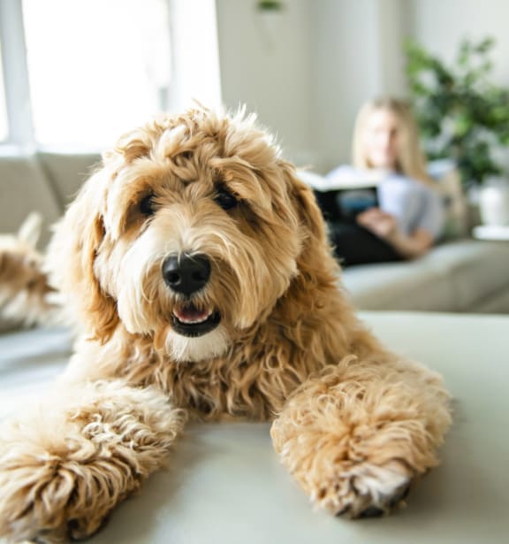 The Retreat at FuquayVarina Apartments in FuquayVarina, NC